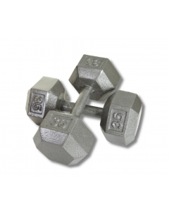 TROY Cast Iron Dumbbell