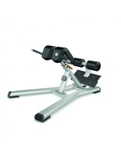PRECOR Discovery Series Back Extension