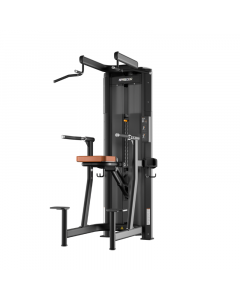 PRECOR RMS Dip-Chin Assist Exercise Station