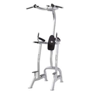 HOIST Fitness Tree 2