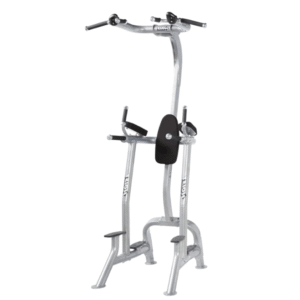 HOIST Fitness Tree 2