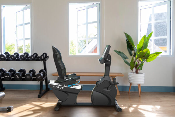 True Fitness Performance Series Recumbent Bike Lifestyle