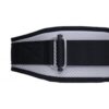 Schiek Carbon Fiber Lifting Belt - Image 2