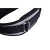 Schiek Carbon Fiber Lifting Belt - Image 3