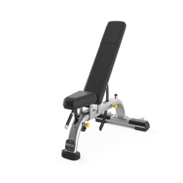 PRECOR Discovery Series Adjustable Bench