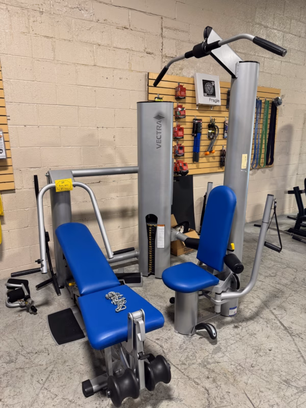 Vectra Fitness 1650