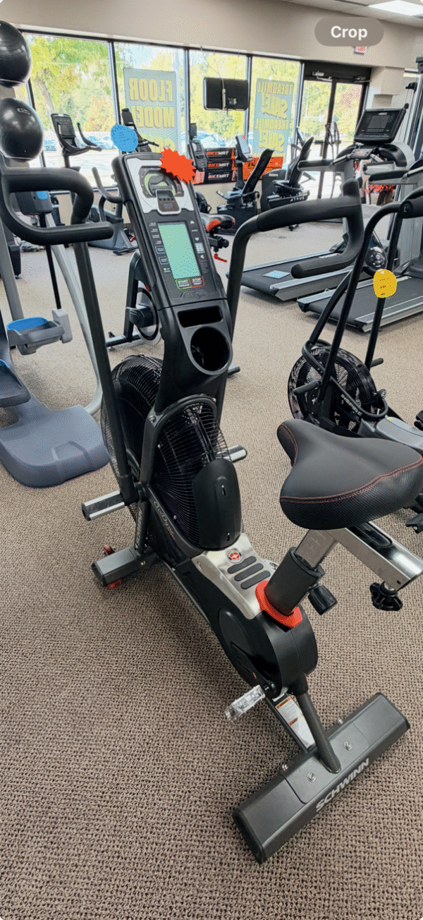 SCHWINN AIRDYNE PRO