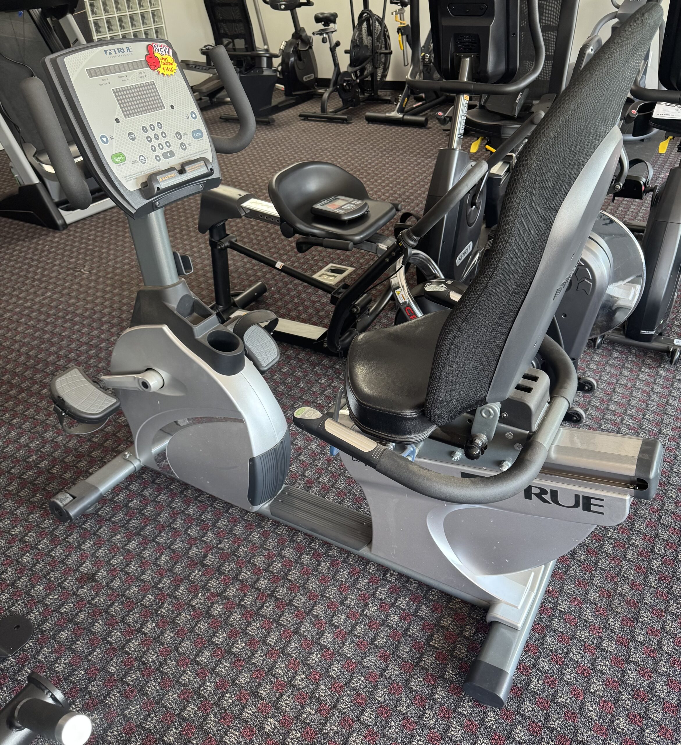 TRUE FITNESS ES700 RECUMBENT BIKE