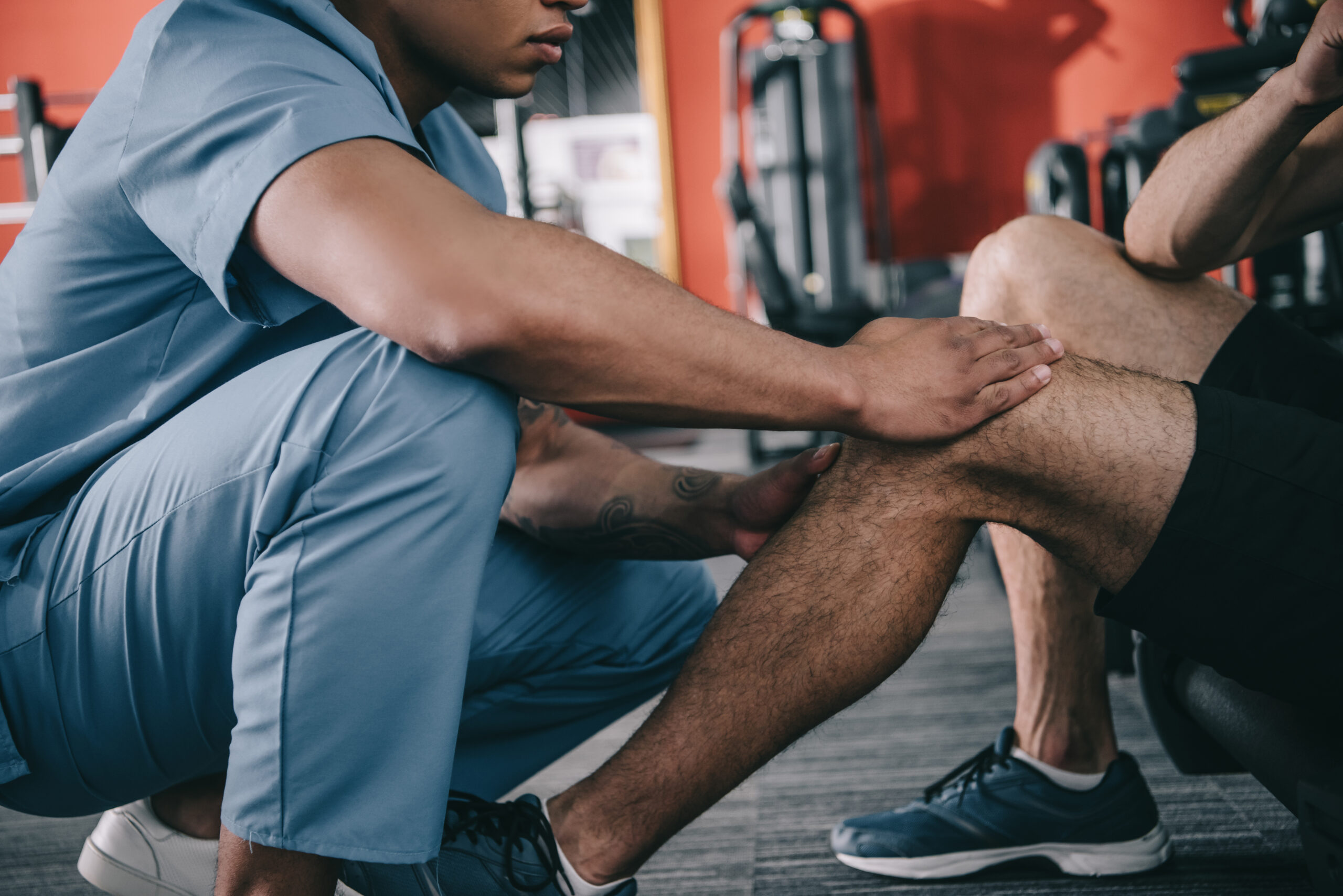 exercise equipment for physical therapy