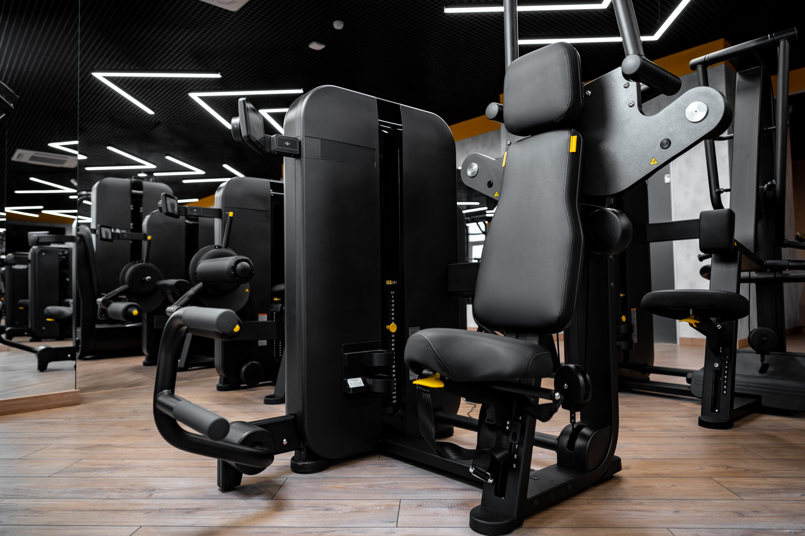 Selectorized Machines vs Free Weights