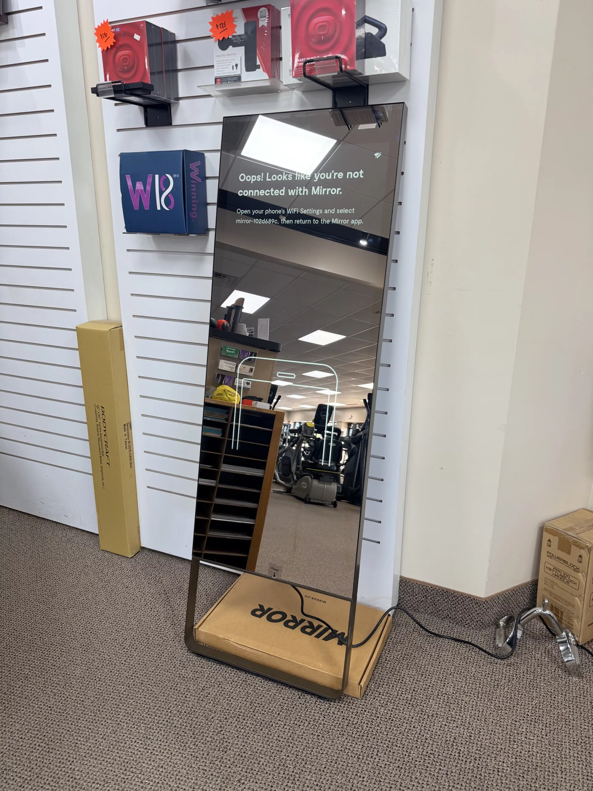 MIRROR WORKOUT